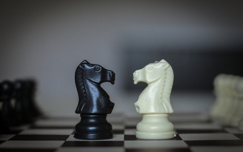 Knight in Chess