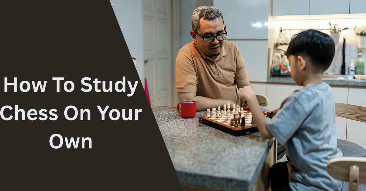 How To Study Chess On Your Own